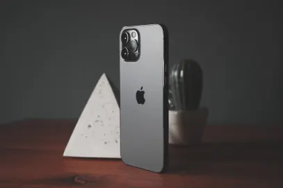 빙고카페 카지노 모바일 앱